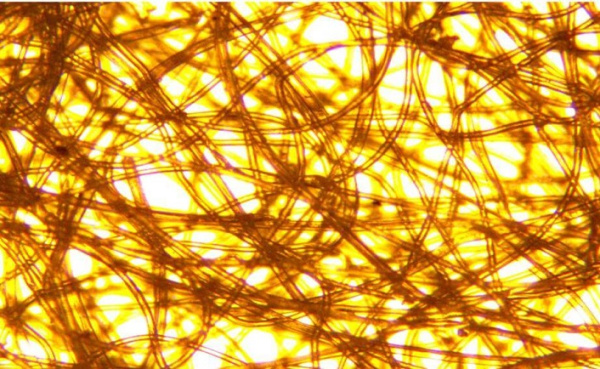 Фильтр потолочный RB-600ST, 1,5х20м, F5 Фильтр потолочный RB-600ST, 1,5х20м, F5